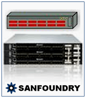 Virtual Fiber Channel Switch Training