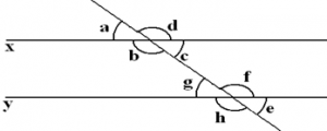 civil-engineering-drawing-questions-answers-geometry-construction-q10