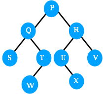 Find the postorder traversal of the binary tree shown