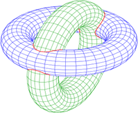 The intersection curve of two polyhedrons is a polygon i.e. tori