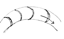 The blades shown in the figure are backward curved blades of a runner