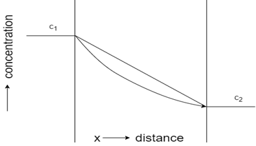 The representation concentration-distance profile for steady-state flow - option b