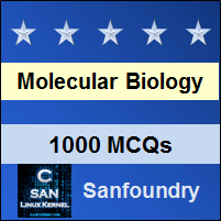 Molecular Biology Questions and Answers