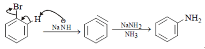 organic-chemistry-questions-answers-elimination-reaction-q15f