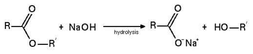 organic-chemistry-questions-answers-esters-q4