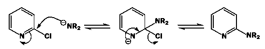 The ease of replacement of halogens in these positions by nucleophiles