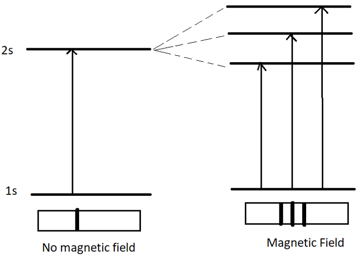 Three spectral lines are observed in the presence of magnetic field occurred in p-orbital