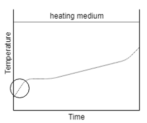 The Initial heating period is represented best by the diagram given