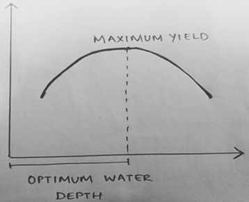 The graph below shows the variation of Yield v/s Water depth