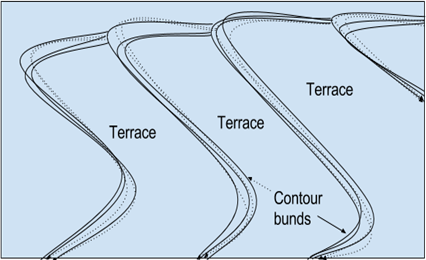 Contour Farming used in hilly areas with steep slopes