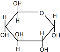 α-D-(+)-glucopyranose is compound from the Haworth projection