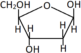 The compound shown is β-D-2-deoxyribose which is a pentose sugar with no oxygen