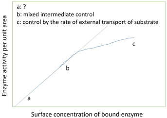 The graph shows variation in rate of reaction catalyzed by immobilized enzyme