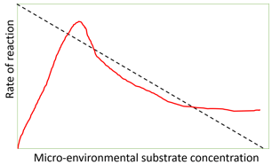 The diagram represents the effect of substrate inhibition on y axis