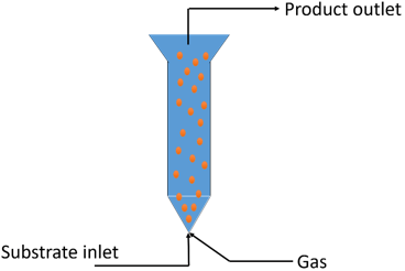 The reactor in the diagram is fluidized bed reactor of gas along with substrate