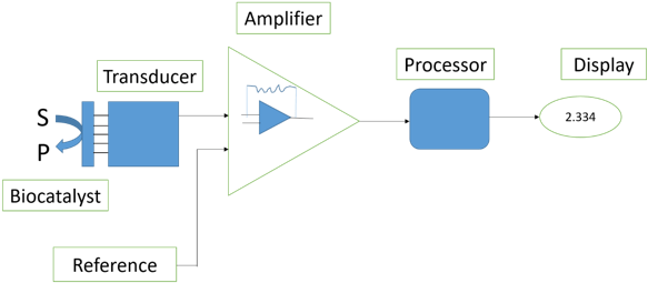 The biocatalyst converts the substrate to product determined by transducer