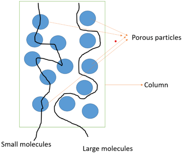 Gel filtration schematic filled with porous particles