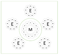 The enzyme in aqueous solution is confined with a semipermeable membrane for absorption