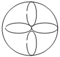 The resultant pattern obtained by pattern multiplication principle - option d