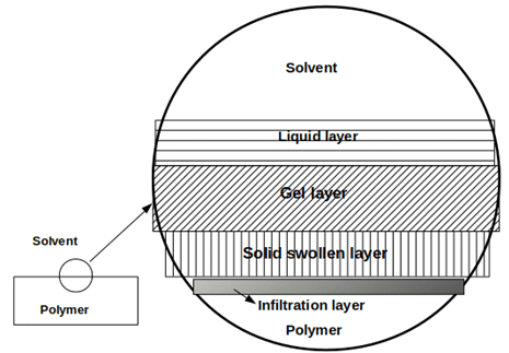 The given figure describes various layers formed by polymer-solvent interaction
