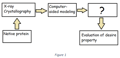 The component in flow diagram of rational design of proteins is Site-directed mutagenesis