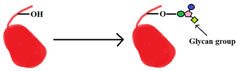 The following post-translational modification shown in the figure is S-nitrosylation