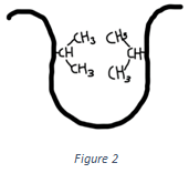 The following interactions shown in the figure is Hydrophobic interactions