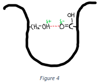 The following interactions shown in the figure below is Hydrogen bonds
