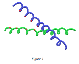 The following DNA-binding motif shown in the figure is Leucine zipper