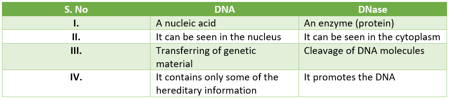 DNA contains information for heredity & DNAse cleave phosphodiester bonds