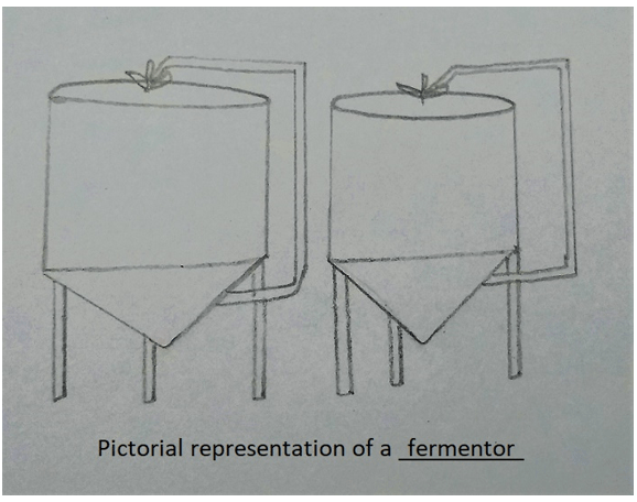 Fermentors are very large vessels in which microbes are grown on an industrial scale