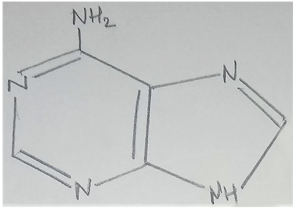 Structure of adenine with heterocyclic rings