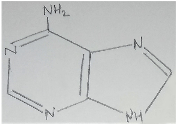 Sơ đồ Adenine