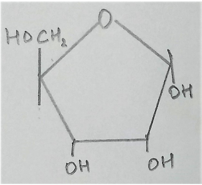 Structure representing ribose attached to a nitrogen base