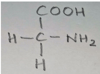 Glycine a neutral amino acid