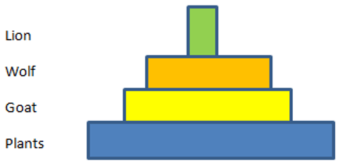 An upright pyramid of number of the grassland ecosystem figure