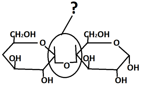 Glycosidic bond between two glucose molecules linked to each other