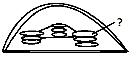 Structure of the chloroplast thylakoid present on the stroma, stacked on top of each other