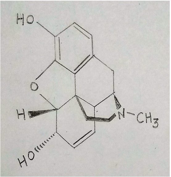 Diagram is chemical structure of Morphine used in medicine as hydrochloride