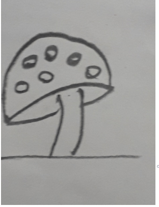 Mushroom (Agaricus) an example of Basidiomycetes