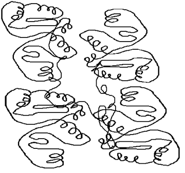 Find the level of organization of the protein