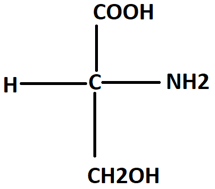 Amino acid Serine with hydroxy methyl group attached to the alpha carbon