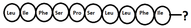 Primary structure or linear structure of last amino acid