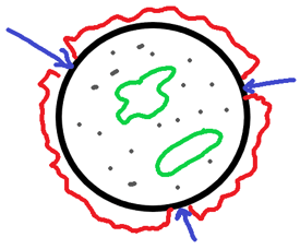 Germ pore is a pore that is present on the outer wall of the pollen grain in given diagram