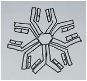 Structure of IgM present in pentameric form & has 10 paratopes