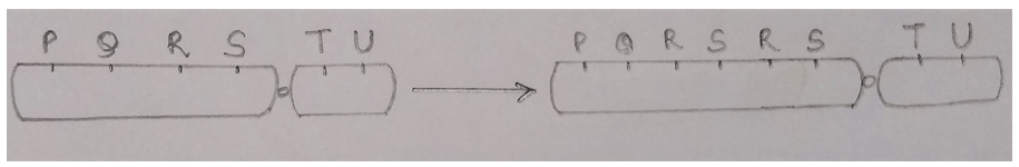 The given figure represents the duplication aberrations