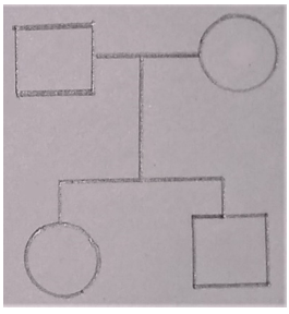 The figures represent parents with a male child affected with a disease - option b