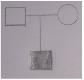 The figures represent parents with a male child affected with a disease - option c