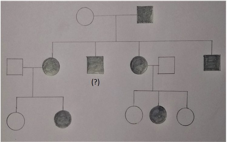 The allele represent dominant allele with homozygous dominant & homozygous recessive