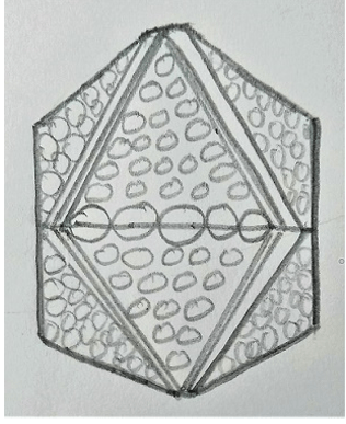 The non-enveloped viruses with a double-stranded DNA genome